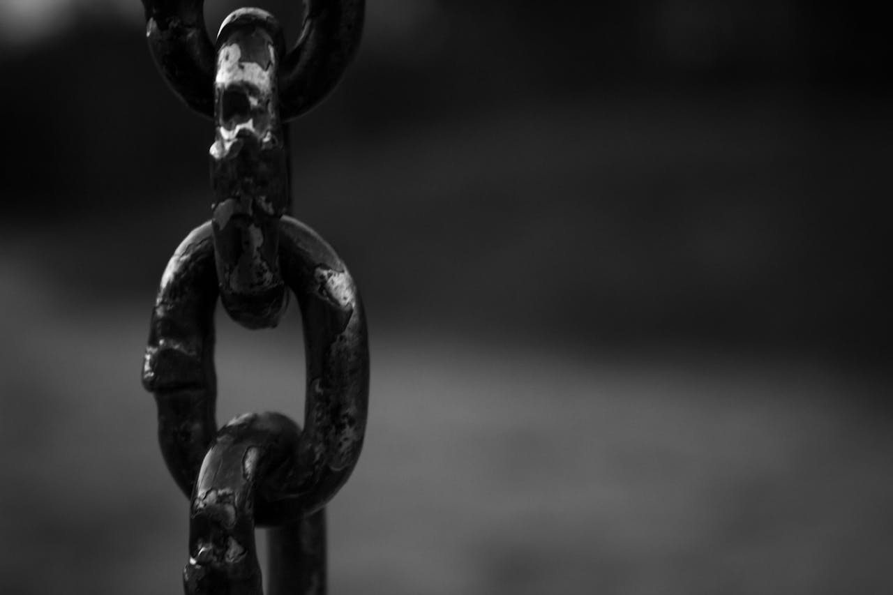 services-01 Detailed black and white image of a rusty chain link with blurred background.